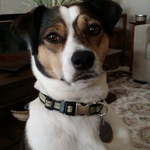 Meet your Posher, Beth